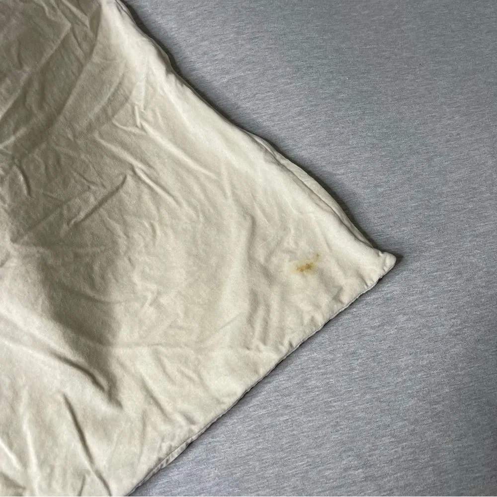 IKEA Fjadrar 20”x20” Inner Pillow & Sanela Cushion Pillow Case 2 PCS. Set